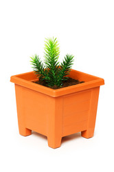 Similar image 256261