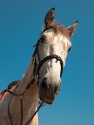 Similar image 256289