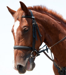 Similar image 256297