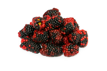 Similar image 256314