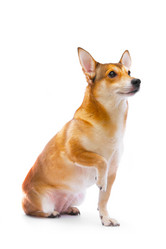 Similar image 256326