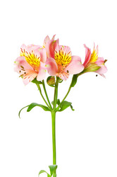 Similar image 256334