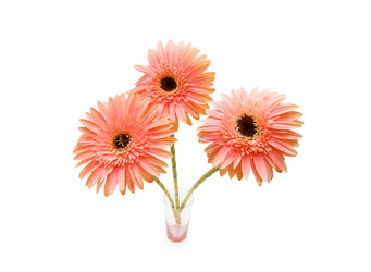 Similar image 256338