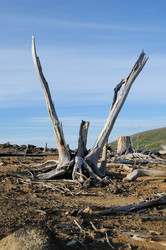 Similar image 256430