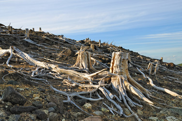 Similar image 256431