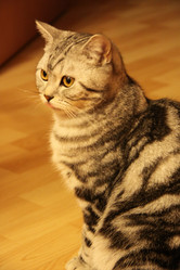 Similar image 256432