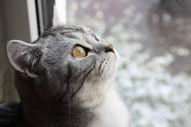 Similar image 256433