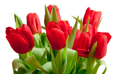 Similar image 256443