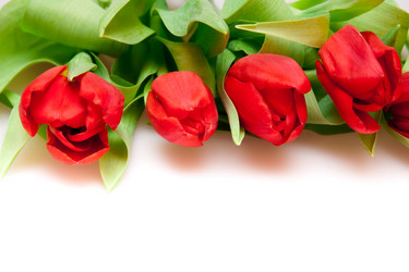 Similar image 256444