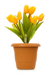 Similar image 256496