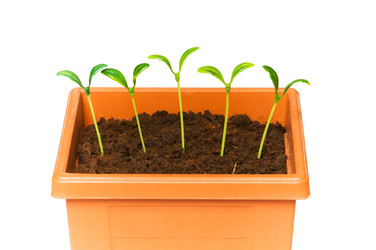 Similar image 256501