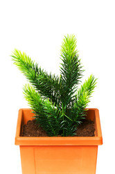 Similar image 256503