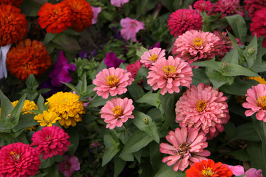 Similar image 256553