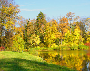 Similar image 256571