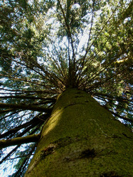 Similar image 256572