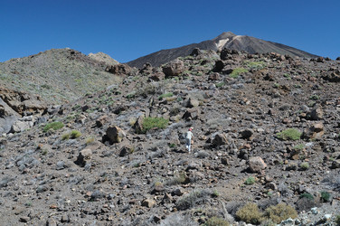 Similar image 256574