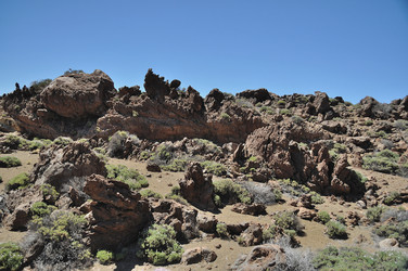 Similar image 256580