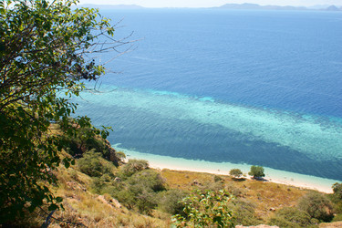 Similar image 256583