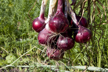 Similar image 256607