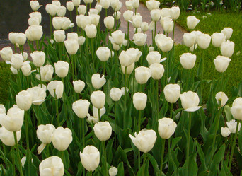 Similar image 256631