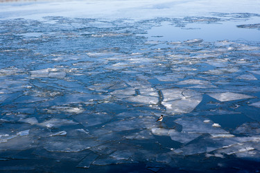 Similar image 256641