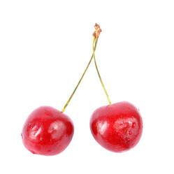 Similar image 256654