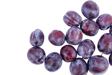 Similar image 256662