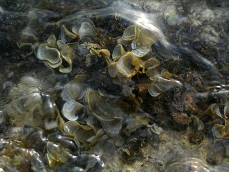 Similar image 256676