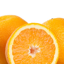 Similar image 256691