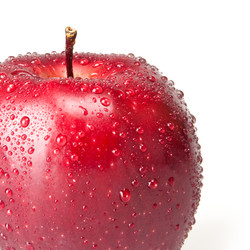 Similar image 256717