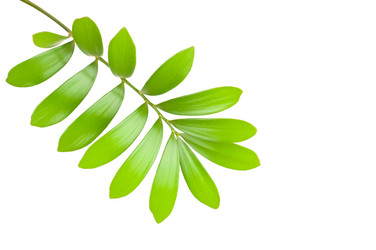 Similar image 256739