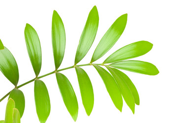 Similar image 256740