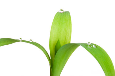 Similar image 256741