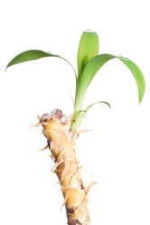 Similar image 256742