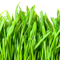 Similar image 256743