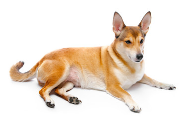 Similar image 256747