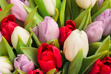 Similar image 256757