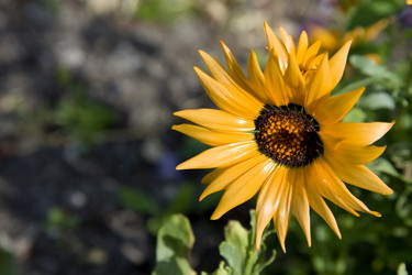 Similar image 256764