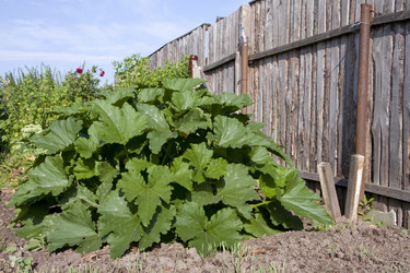 Similar image 256772