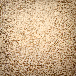 Similar image 256774