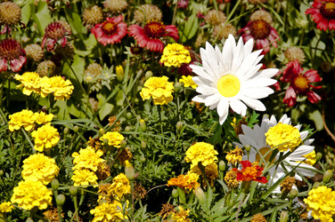 Similar image 256796