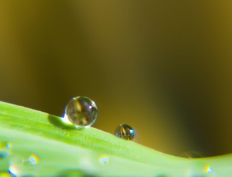 Similar image 256816