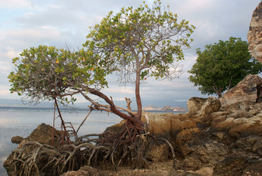 Similar image 256825