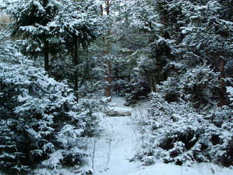 Similar image 256828