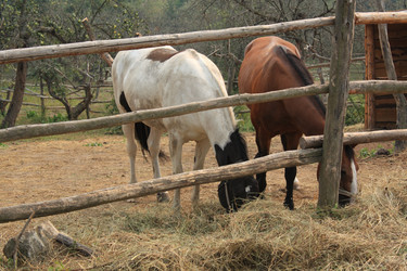 Similar image 256842