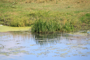 Similar image 256843