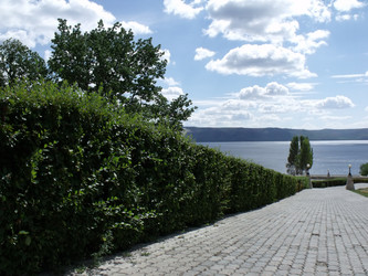 Similar image 256847