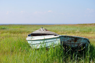 Similar image 256857