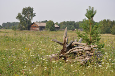 Similar image 256861