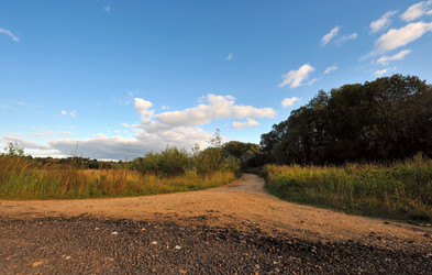 Similar image 256871